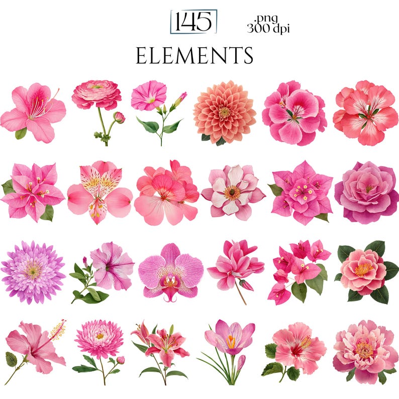 Pink Watercolor Flowers Clipart, Elegant Botanical PNG Bundle, Floral Illustrations for Wedding Invitations, Pinky Ephemera, Bloom Stickers