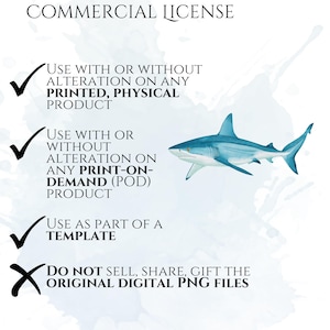 Shark Clipart, Watercolor Shark Illustrations, Shark Graphics for Kids' Room, Classroom Decor, Invitations, Branding & Print on Demand