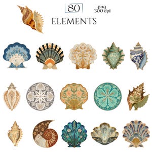 Art Nouveau Seashells Clipart, Ornamental Vintage Sea Shell PNG Graphics with Transparent Background for Branding, Decor & POD