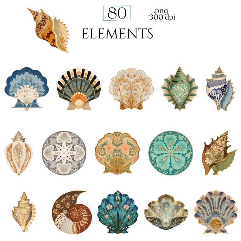 Art Nouveau Seashells Clipart, Ornamental Vintage Sea Shell PNG Graphics with Transparent Background for Branding, Decor & POD