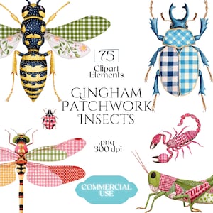May include: Watercolor illustrations of various insects with gingham patchwork patterns. The image includes a wasp, beetle, ladybug, dragonfly, scorpion, and grasshopper. Text reads "Gingham Patchwork Insects" and "75 Clipart Elements".