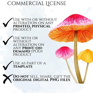 Watercolor Mushroom Clipart, Botanical Mushroom Graphics, Woodland Fungi Illustrations (75 Files, Transparent Background)
