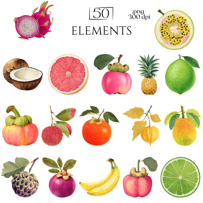 Watercolor Fruit Illustrations