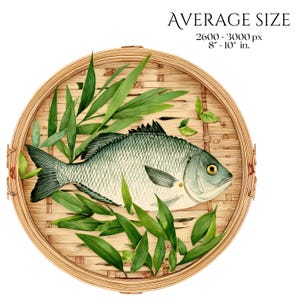 Chinese Food PNG Elements