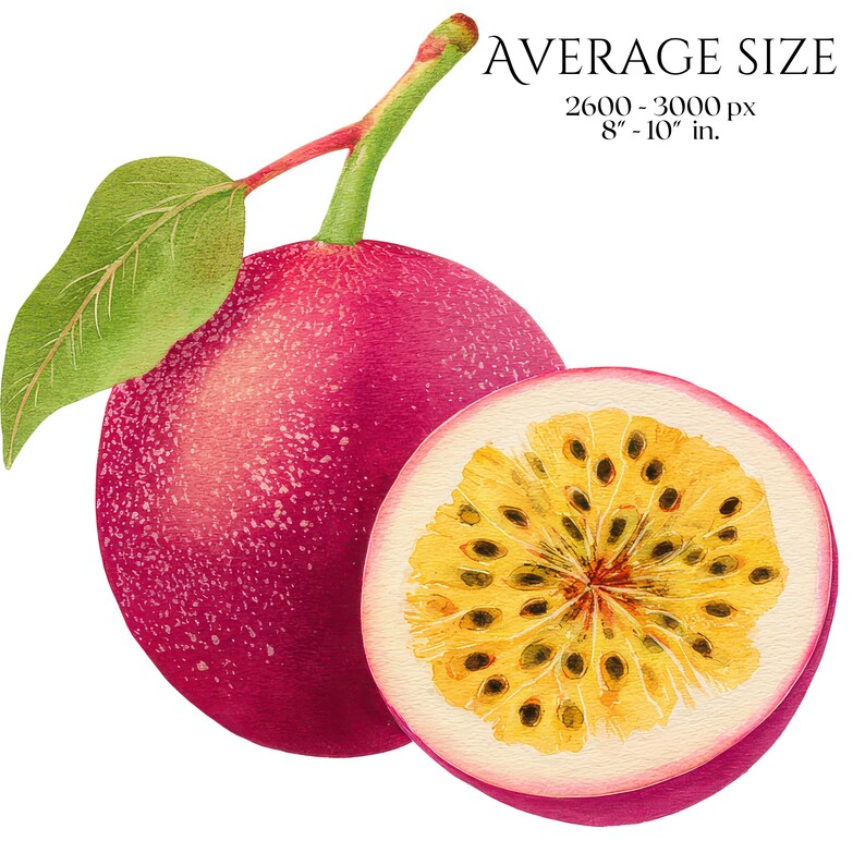 Commercial Use Fruit Clip Art
