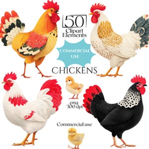 May include: A digital illustration featuring five chickens and chicks. The roosters display vibrant colors, including red, yellow, black, and white. The image includes the text "50 Clipart Elements," "Commercial Use," and "Chickens."