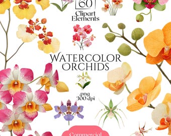 Watercolor Orchids Clipart Bundle, Tropical Orchid PNG Flowers, Floral Wedding Graphics, Exotic Botanical Elements, Commercial Use Flowers