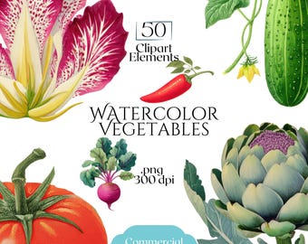 Watercolor Vegetables Clipart, Farm Fresh Vegetable PNG Illustrations, Garden Harvest Food Graphics, Farmers Market Veggie Clip Art Ephemera