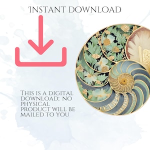 Art Nouveau Seashells Clipart, Ornamental Vintage Sea Shell PNG Graphics with Transparent Background for Branding, Decor & POD