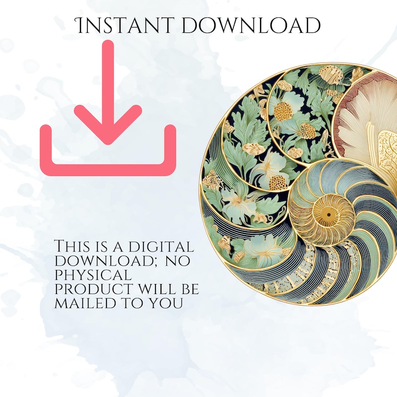 Art Nouveau Seashells Clipart, Ornamental Vintage Sea Shell PNG Graphics with Transparent Background for Branding, Decor & POD