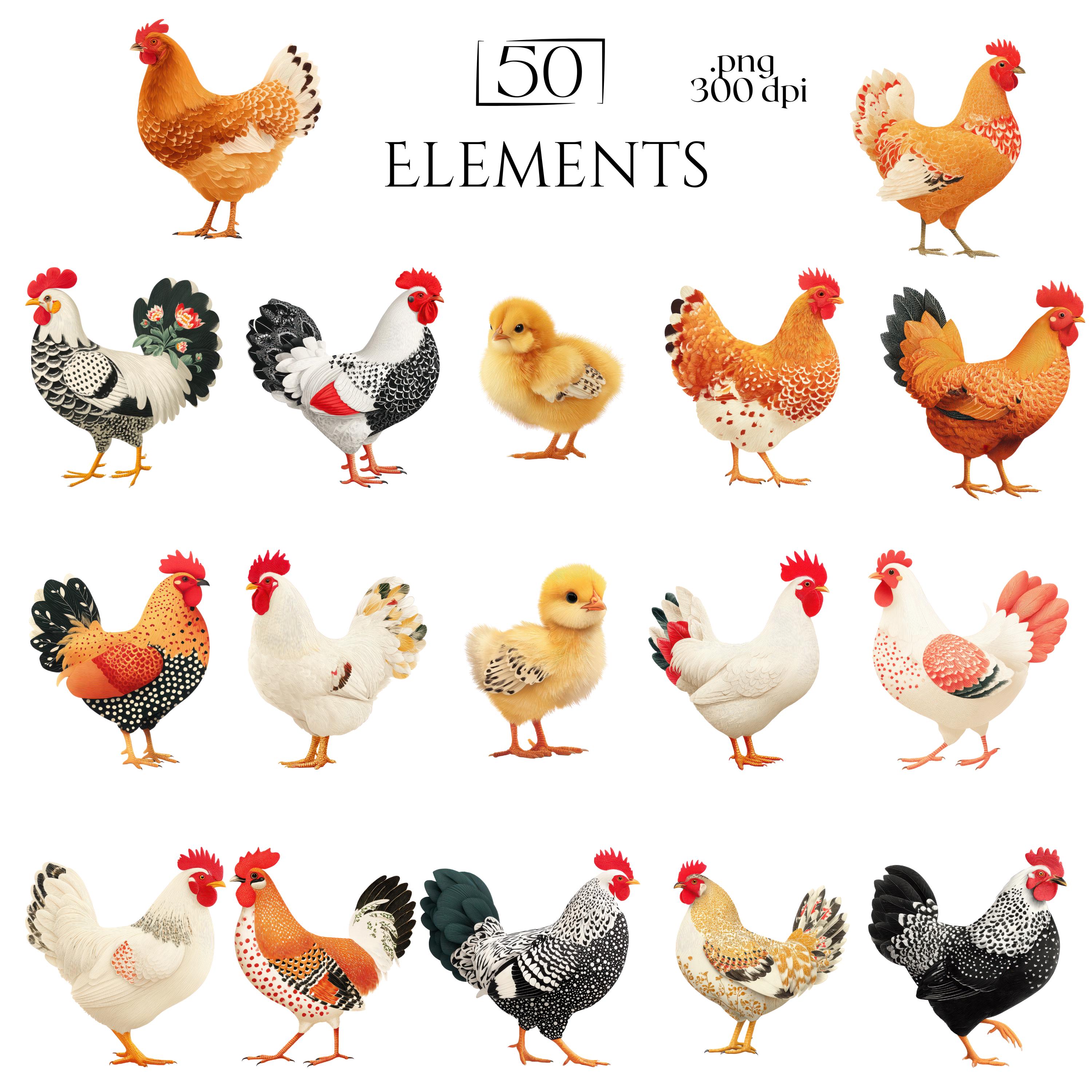 Chickens Clipart Bundle, Farm Rooster Hen PNG Pack, Cute Chicken ...