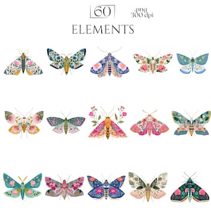 Folk Art Moths Clipart, Floral Moth PNG Illustrations, Decorative Botanical Insect Graphics (60 Files, Transparent Background)