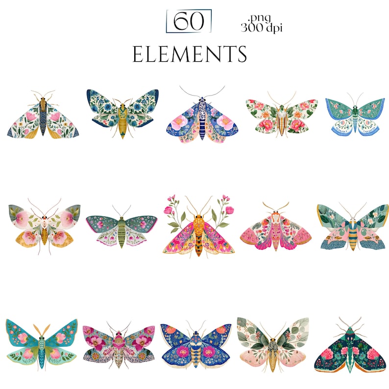 Folk Art Moths Clipart, Floral Moth PNG Illustrations, Decorative Botanical Insect Graphics (60 Files, Transparent Background)