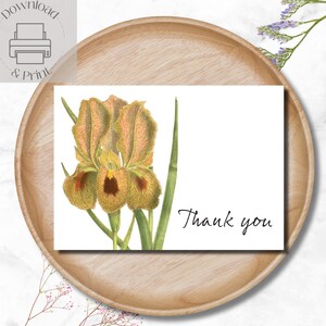 Cartão de agradecimento para impressão Flor de íris, download instantâneo Impressão em casa Cartões de agradecimento florais Cartões de última hora com envelopes DIY Presente botânico