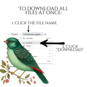 William Morris Birds Clipart, Morris-Inspired PNG Graphics, Arts & Crafts Bird Illustrations (60 Files, Transparent Background)