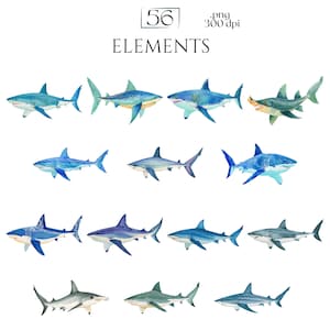 Shark Clipart, Watercolor Shark Illustrations, Shark Graphics for Kids' Room, Classroom Decor, Invitations, Branding & Print on Demand