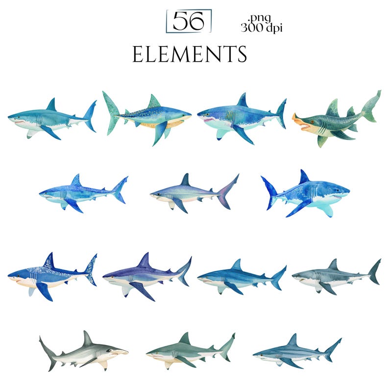 Shark Clipart, Watercolor Shark Illustrations, Shark Graphics for Kids' Room, Classroom Decor, Invitations, Branding & Print on Demand