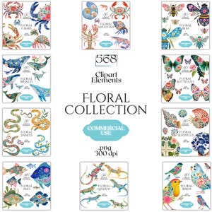 May include: A collection of watercolor clipart elements featuring various floral designs. The image includes illustrations of crabs, shellfish, bees, whales, snakes, butterflies, seashells, fish, lizards, and birds. The text reads "Floral Collection" and "Commercial Use."
