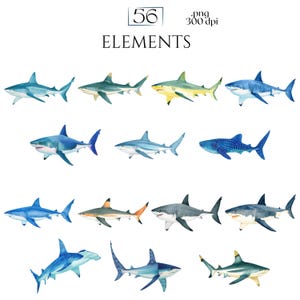 Shark Clipart, Watercolor Shark Illustrations, Shark Graphics for Kids' Room, Classroom Decor, Invitations, Branding & Print on Demand