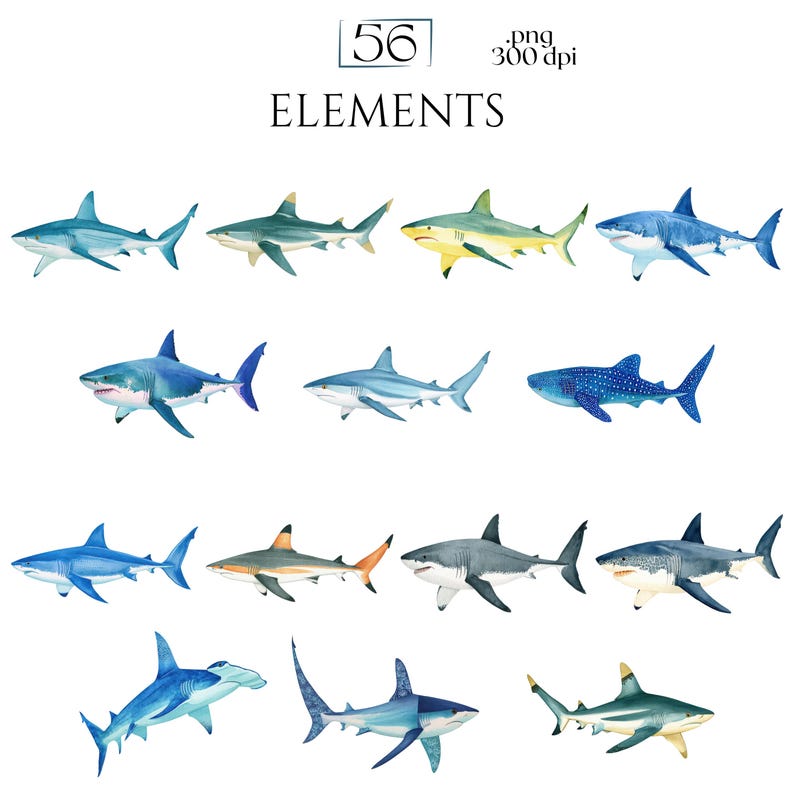 Shark Clipart, Watercolor Shark Illustrations, Shark Graphics for Kids' Room, Classroom Decor, Invitations, Branding & Print on Demand