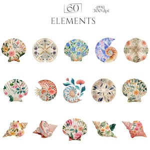 Floral Seashells Clipart, Chinoiserie Seashell PNG Graphics, Coastal Floral Shell Illustrations (60 Files, Transparent Background)