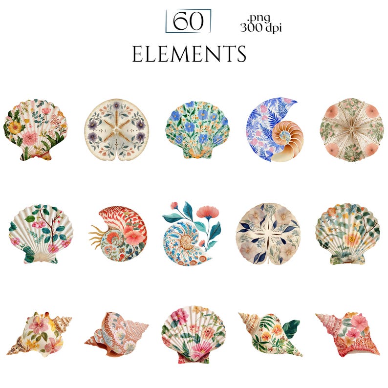 Floral Seashells Clipart, Chinoiserie Seashell PNG Graphics, Coastal Floral Shell Illustrations (60 Files, Transparent Background)