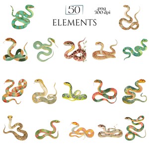 Watercolor Snakes Clipart, Colorful Snake Illustrations, Reptile PNG Elements for Crafts, Serpent Graphics for Classroom Decor, Junk Journal