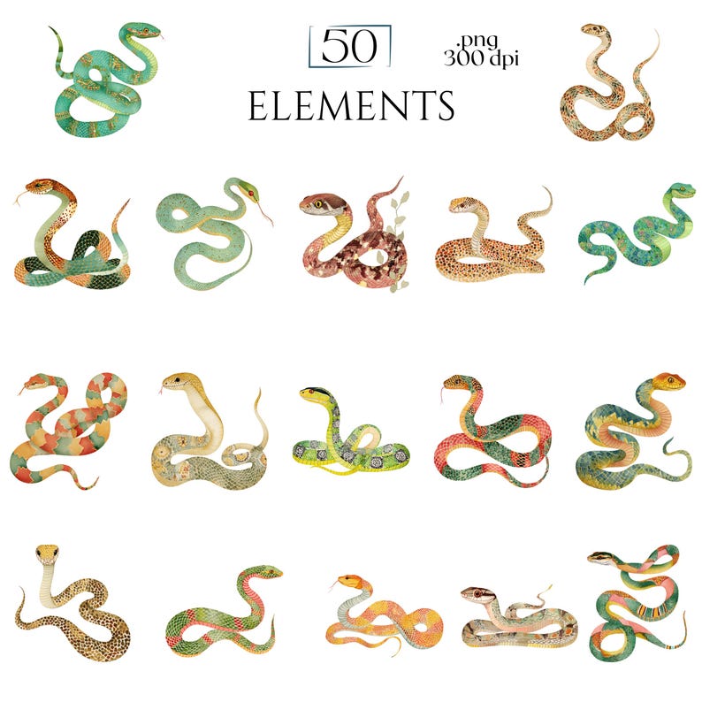 Watercolor Snakes Clipart, Colorful Snake Illustrations, Reptile PNG ...
