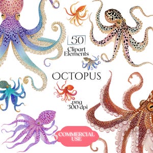 Puede incluir: Una colección de ilustraciones de pulpos en acuarela en varios colores, incluyendo morado, azul, naranja y marrón. El texto dice 50 Clipart Elements, OCTOPUS, .png 300 dpi y COMMERCIAL USE. Se muestran estos gráficos detallados de animales marinos.