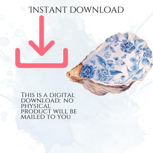 Floral Seashells Clipart, Chinoiserie Seashell PNG Graphics, Coastal Floral Shell Illustrations (60 Files, Transparent Background)