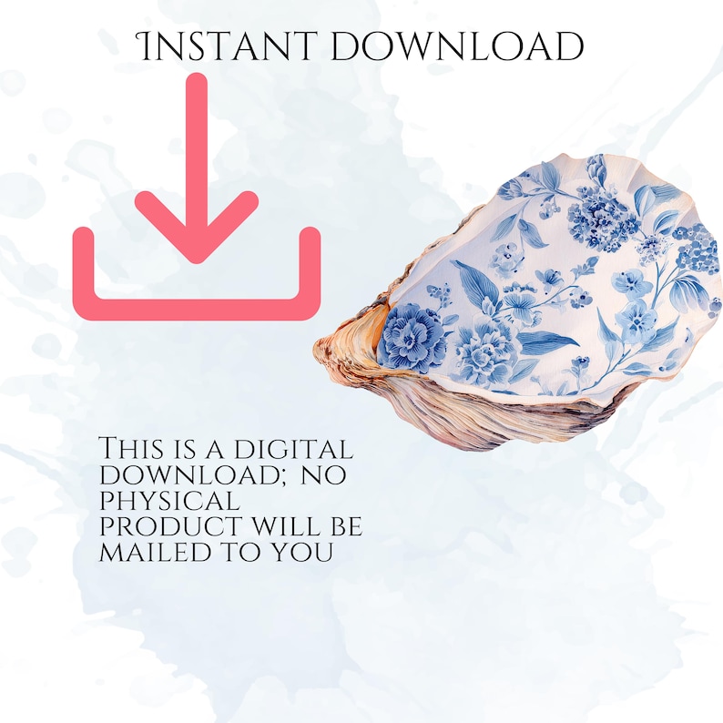 Floral Seashells Clipart, Chinoiserie Seashell PNG Graphics, Coastal Floral Shell Illustrations (60 Files, Transparent Background)