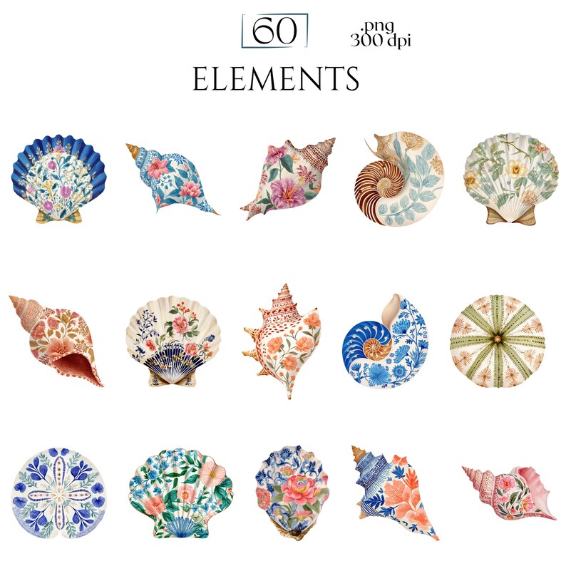 Floral Seashells Clipart, Chinoiserie Seashell PNG Graphics, Coastal Floral Shell Illustrations (60 Files, Transparent Background)