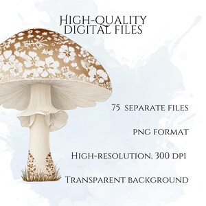 Watercolor Mushroom Clipart, Botanical Mushroom Graphics, Woodland Fungi Illustrations (75 Files, Transparent Background)