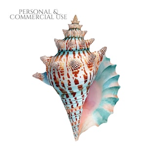 Commercial Use Seaside Elements