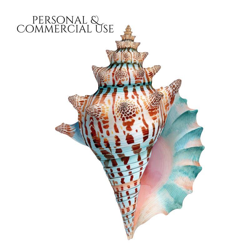 Commercial Use Seaside Elements