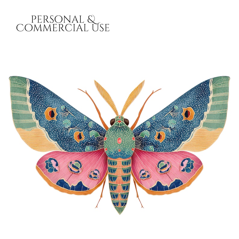 Moths Clipart, Colorful Moth Illustrations, Vintage Insect PNG Elements, Botanical Moth Graphics, Moth Scrapbook, Insect Crafts Junk Journal