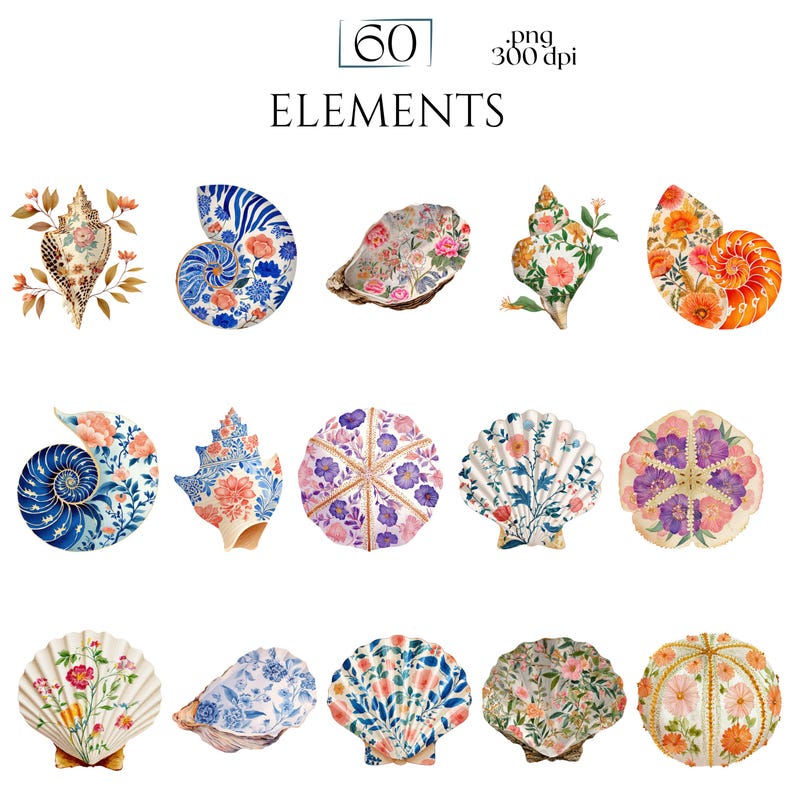 Floral Seashells Clipart, Chinoiserie Seashell PNG Graphics, Coastal Floral Shell Illustrations (60 Files, Transparent Background)