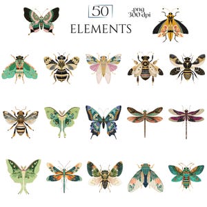 Art Deco Insect Clipart, Vintage Bug Graphics, Modern Cicada Dragonfly Moth Illustrations (50 Files, Transparent Background)
