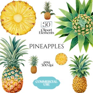 May include: Watercolor illustrations of pineapples in various stages, including whole, sliced, and with green leafy tops. The image includes the text "PINEAPPLES", "50 Clipart Elements", ".png 300 dpi", and "COMMERCIAL USE".