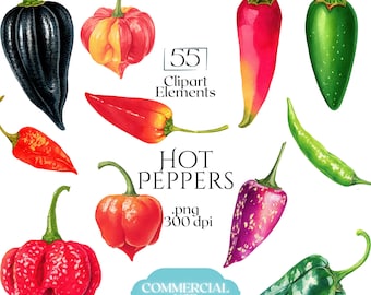 Hot Peppers Clipart, Spicy Chili PNG, Colorful Jalapeño Illustrations, Habanero Clip Art for Recipe Cards, Cookbooks, Kitchen Art & Labels