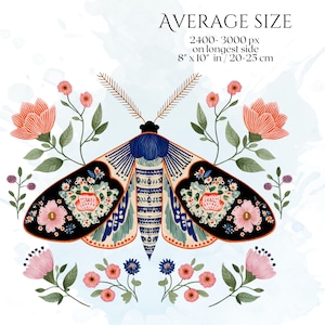 Folk Art Moths Clipart, Floral Moth PNG Illustrations, Decorative Botanical Insect Graphics (60 Files, Transparent Background)