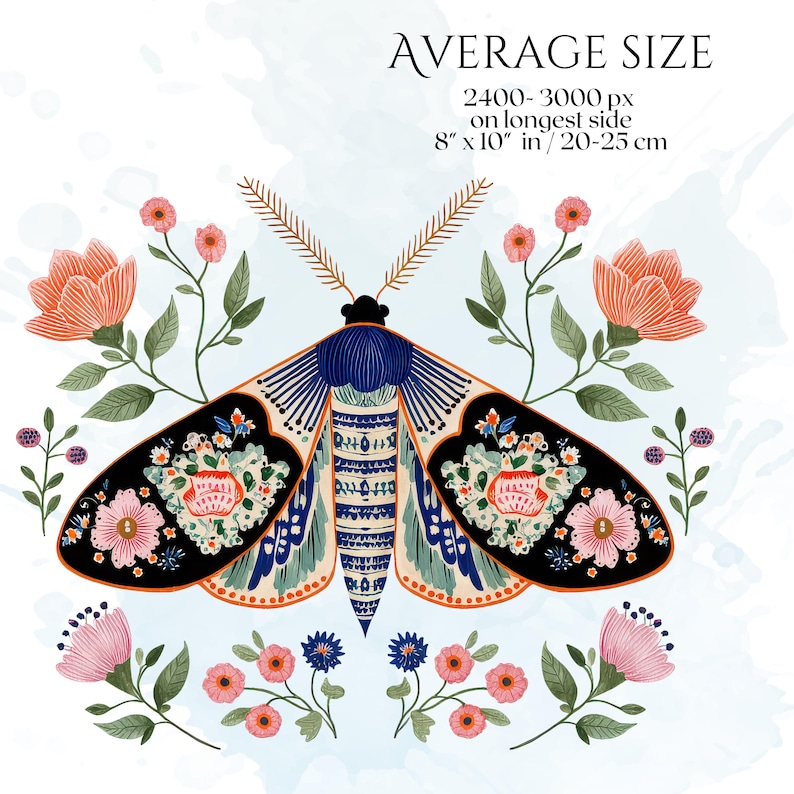 Folk Art Moths Clipart, Floral Moth PNG Illustrations, Decorative Botanical Insect Graphics (60 Files, Transparent Background)