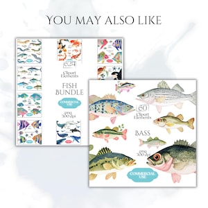 May include: Watercolor illustrations of various fish species, including bass and other marine life, are displayed in a bundle. The image includes text that reads "Fish Bundle" and "Bass". The illustrations are suitable for commercial use.