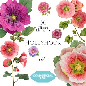 Può includere: Illustrazione digitale di fiori di malvarosa nei toni del rosa, rosso, viola e blu, con foglie verdi. L'immagine include il testo "HOLLYHOCK", "60 Clipart Elements", ".png 300 dpi" e "COMMERCIAL USE".