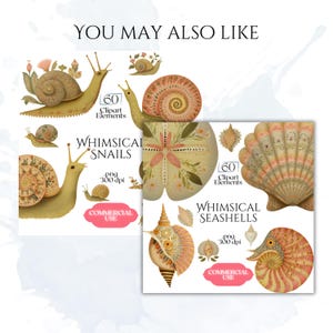 Pu&ograve; includere: Set di clipart digitali con lumache e conchiglie stravaganti. Le illustrazioni includono disegni dettagliati con elementi floreali e decorativi. Il testo include "Whimsical Snails" e "Whimsical Seashells", insieme a "Commercial Use".