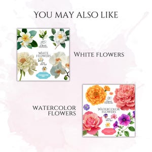 Pink Watercolor Flowers Clipart, Elegant Botanical PNG Bundle, Floral Illustrations for Wedding Invitations, Pinky Ephemera, Bloom Stickers