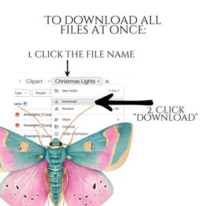 Pastel Moths Clipart, Watercolor Moth Illustrations, Colorful Moth PNG Graphics (60 Files, Transparent Background)