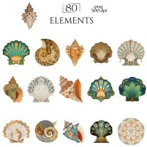 Art Nouveau Seashells Clipart, Ornamental Vintage Sea Shell PNG Graphics with Transparent Background for Branding, Decor & POD