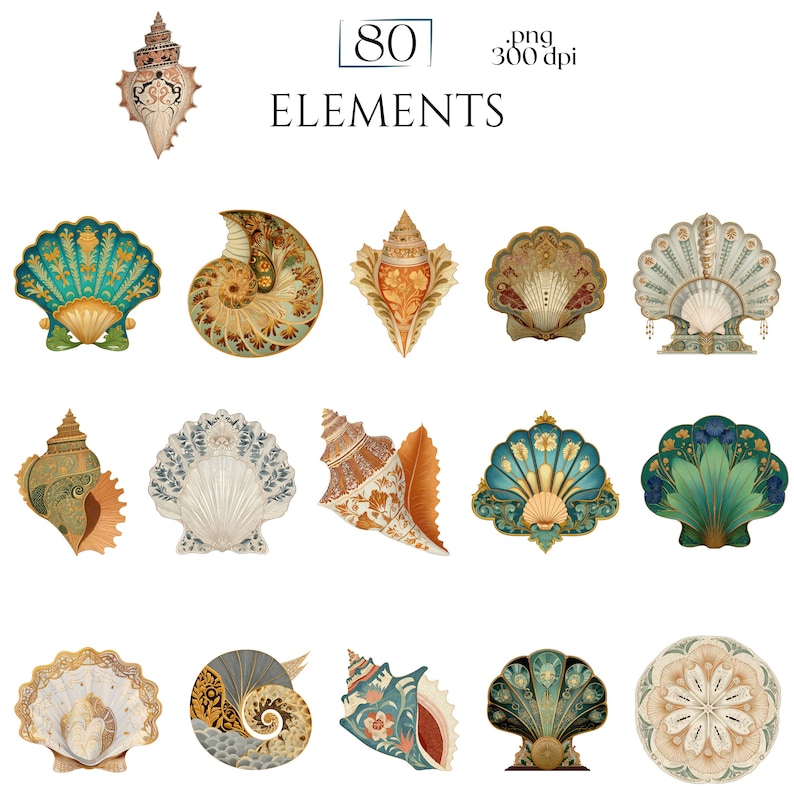 Art Nouveau Seashells Clipart, Ornamental Vintage Sea Shell PNG Graphics with Transparent Background for Branding, Decor & POD