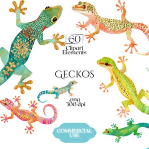 May include: A collection of six watercolor gecko illustrations in various colors including teal, orange, yellow, and green. The text reads 60 Clipart Elements, GECKOS, .png 300 dpi, and COMMERCIAL USE. These digital graphics feature detailed lizard patterns.